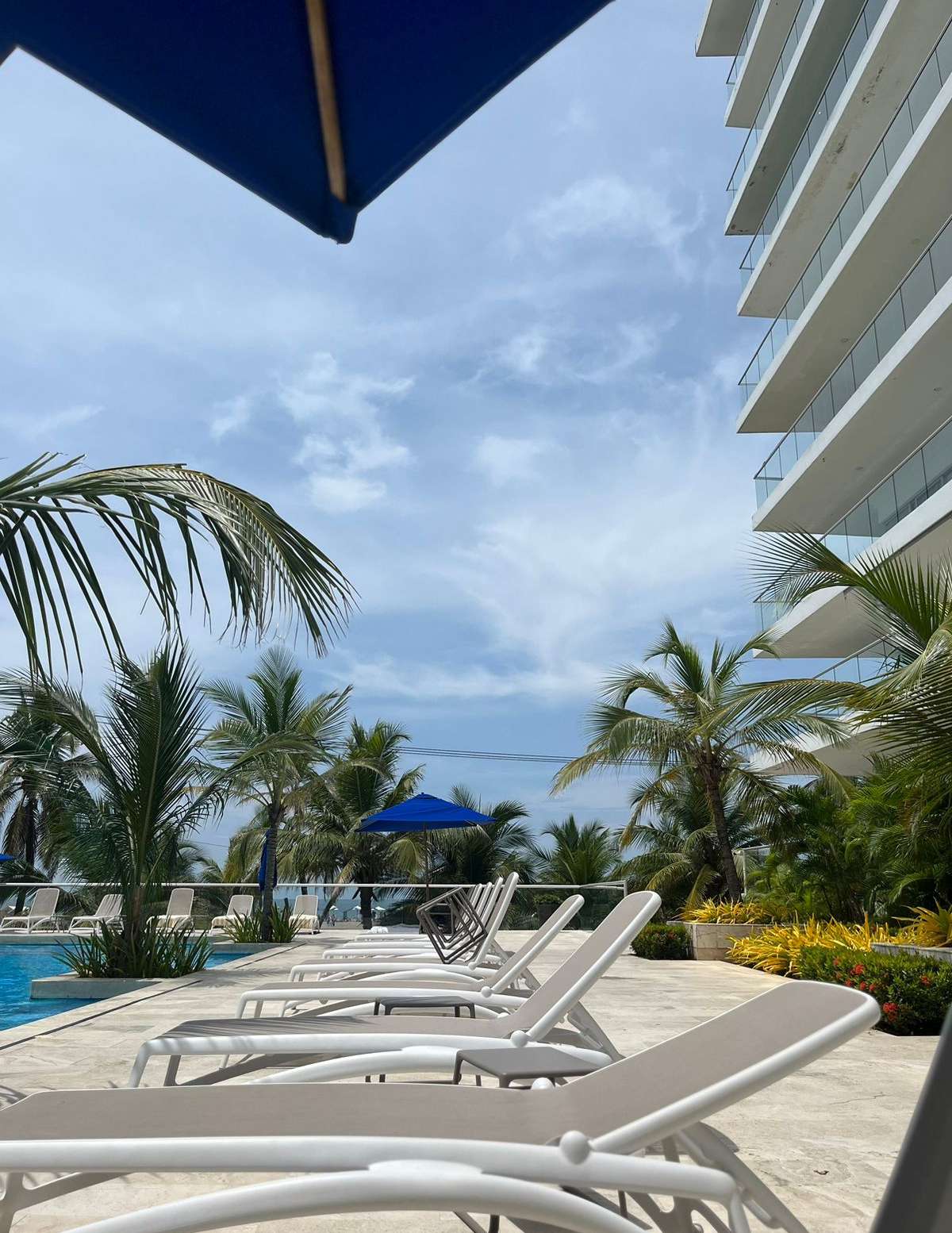 Morros Epic 427 — foto 20